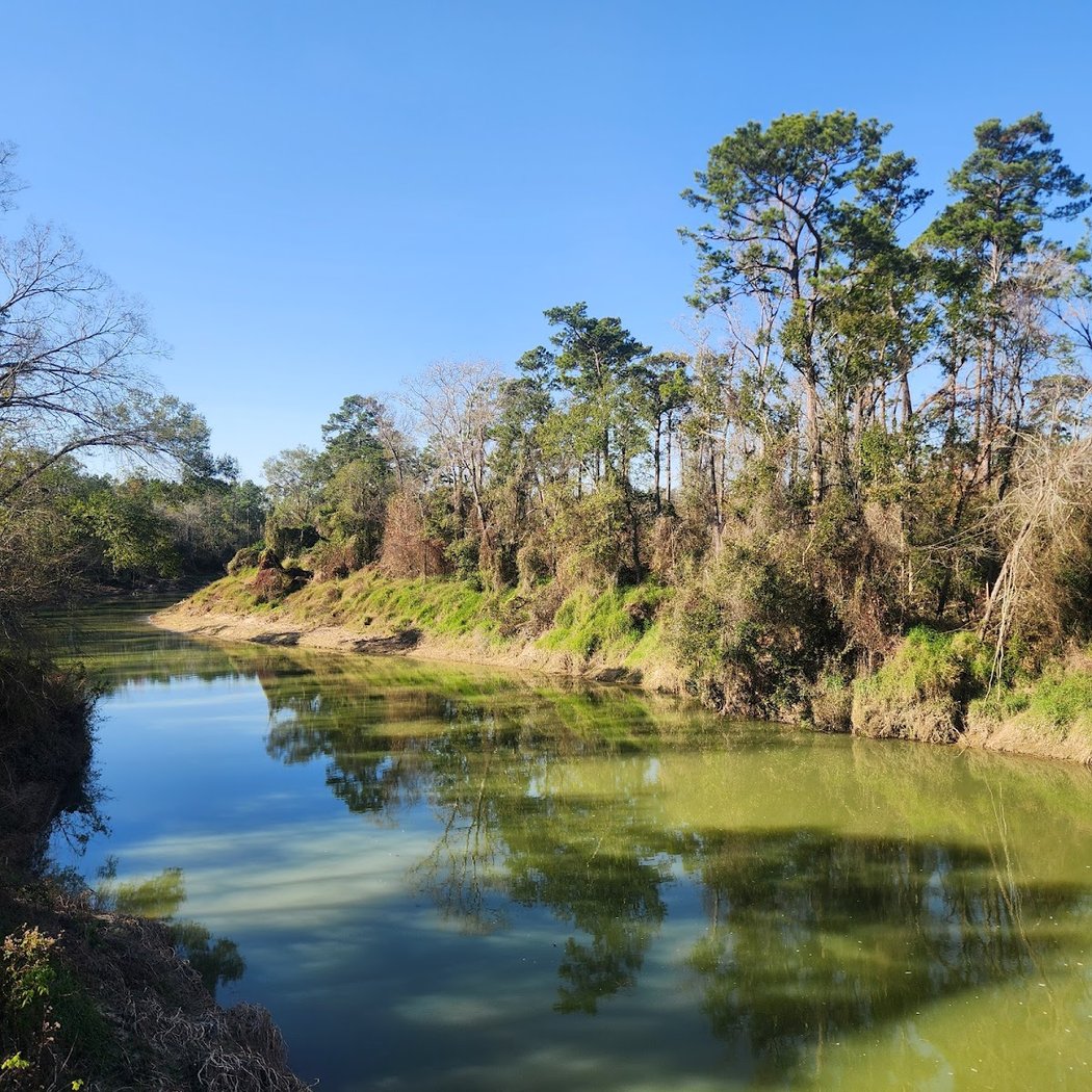 Birding Hike 3
