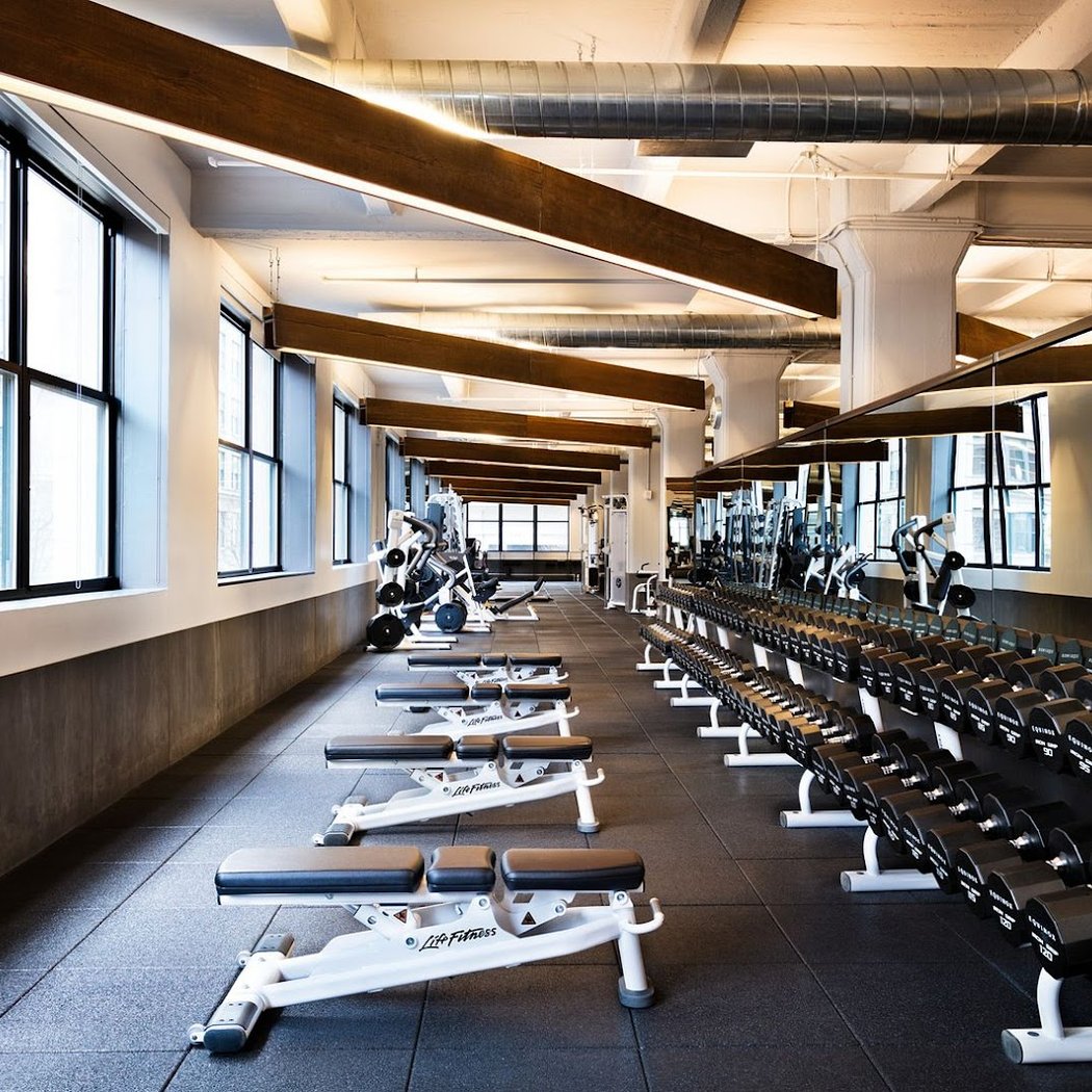 Equinox Dumbo 1
