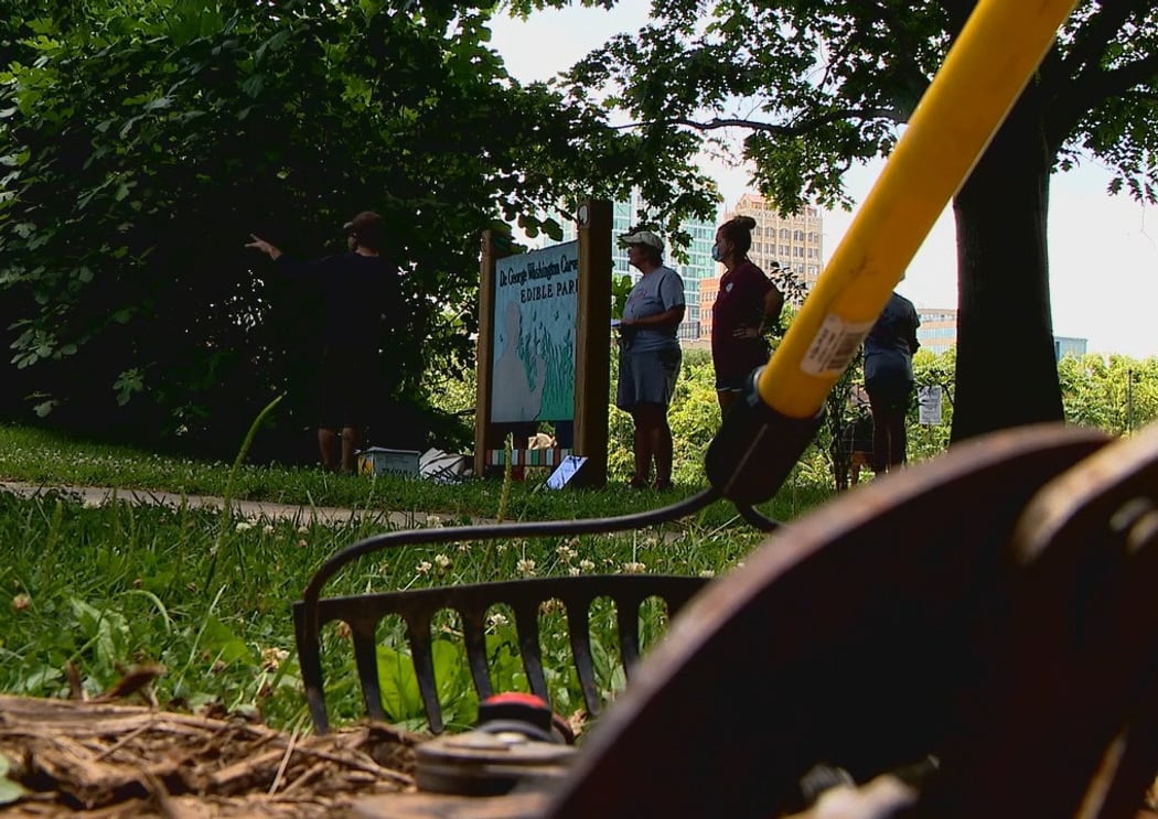Fruit Tree Pruning Workshop & Workday 1
