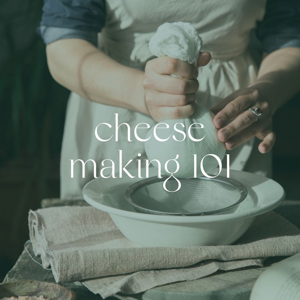 Cheesemaking 101 1