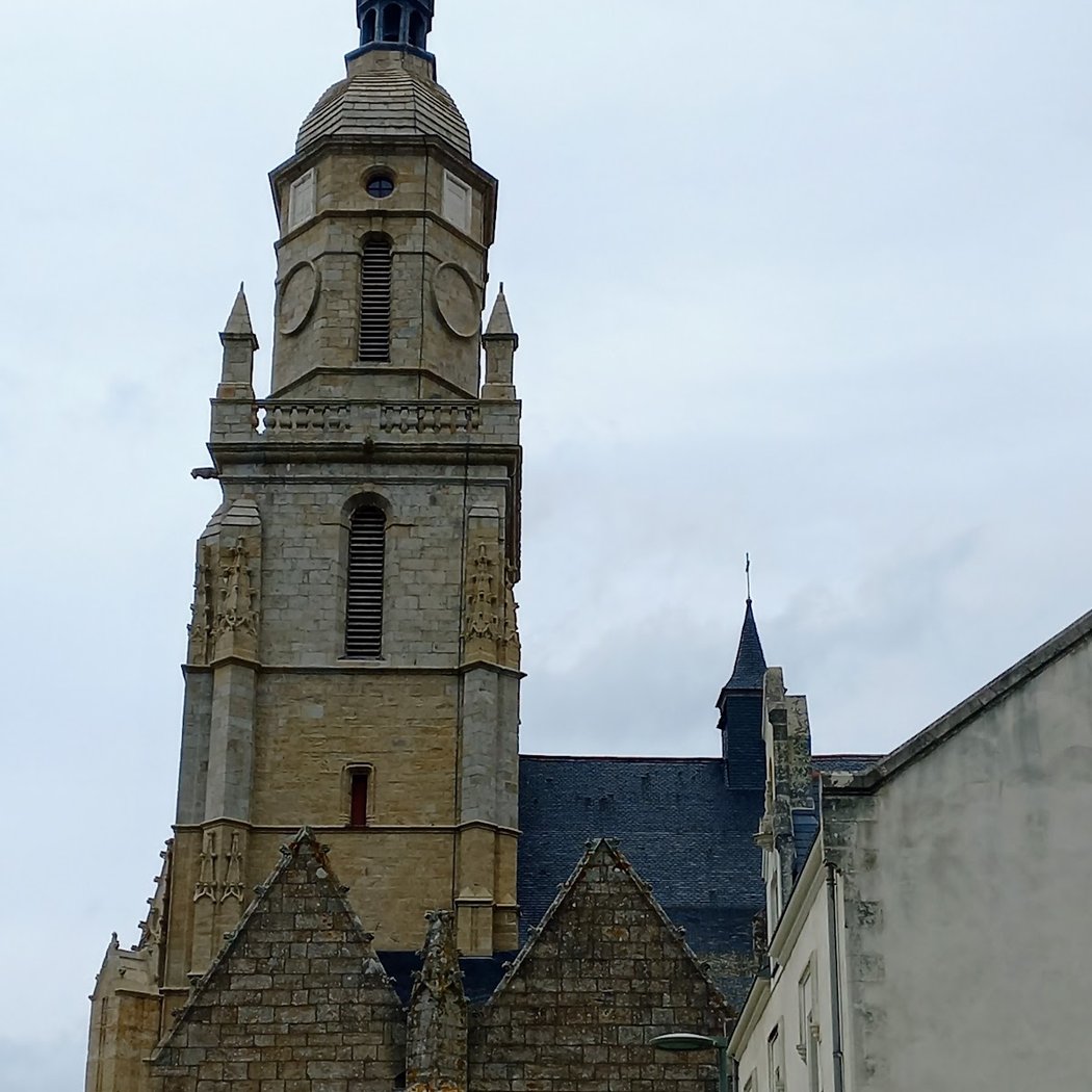 Visites commentées par l'Association du patrimoine de Notre-Dame-de-Pitié 4