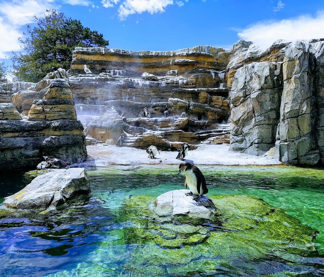 Woodland Park Zoo 1