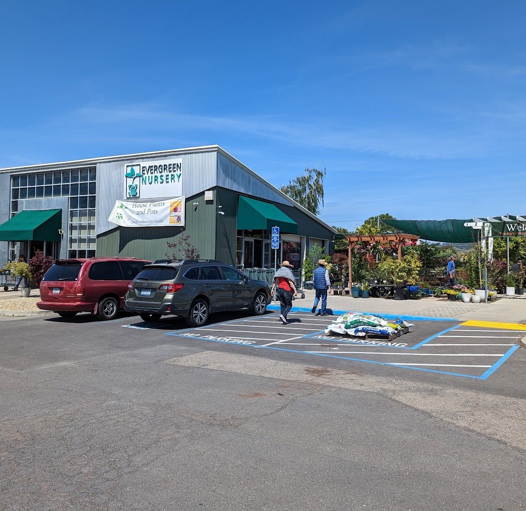 Evergreen Nursery 2