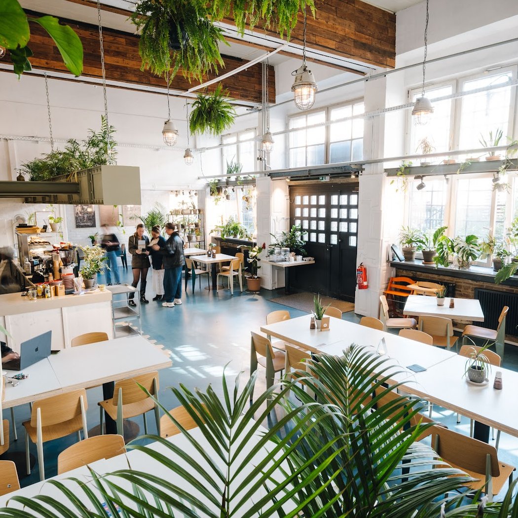 The Greens - Coffee & Plants 2