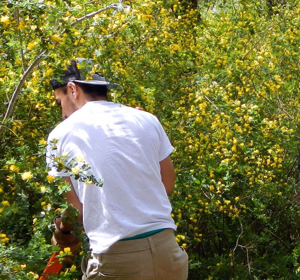 Linda Falls Preserve Volunteer Day 2
