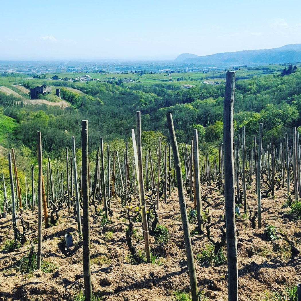 Domaine Michelas St Jemms 2