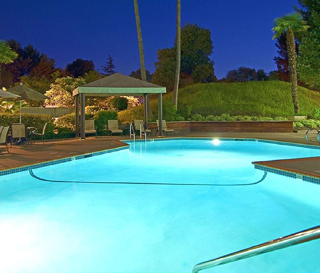 Bay Area Family Fun Events 3