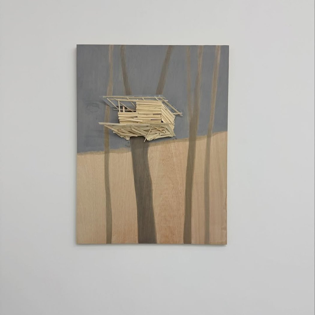TADASHI KAWAMATA - BONSAI 3