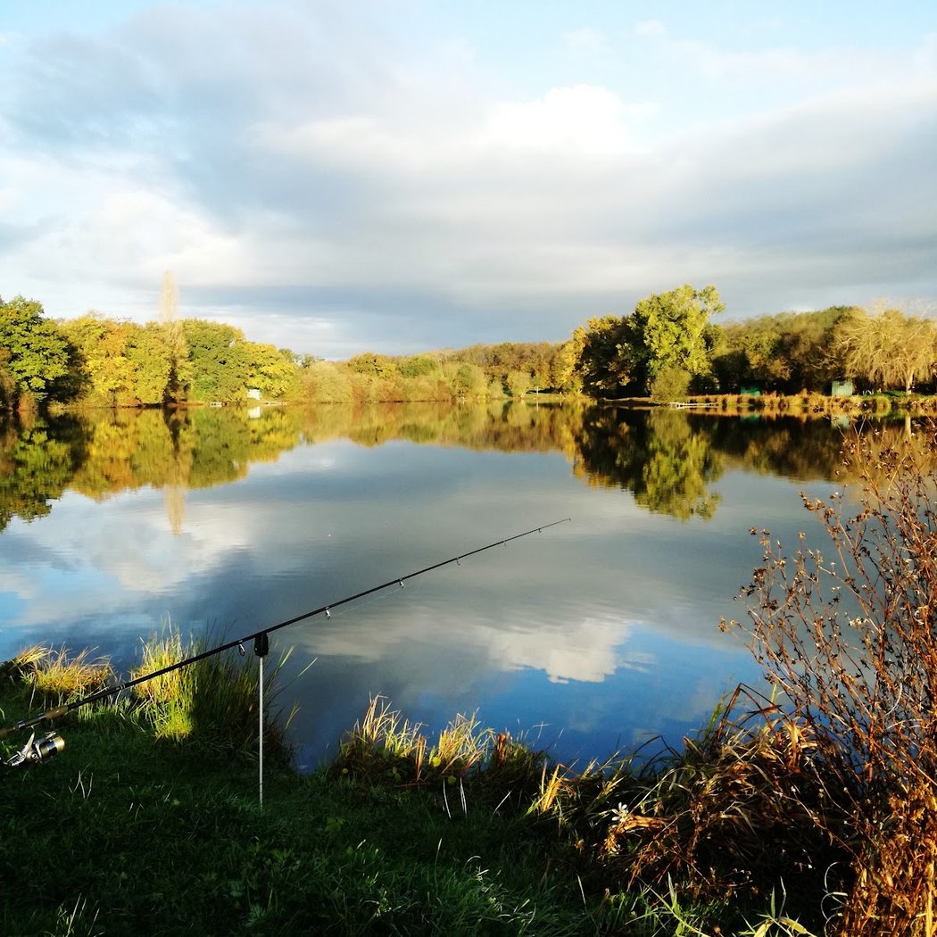 Etang de Pouancé 1