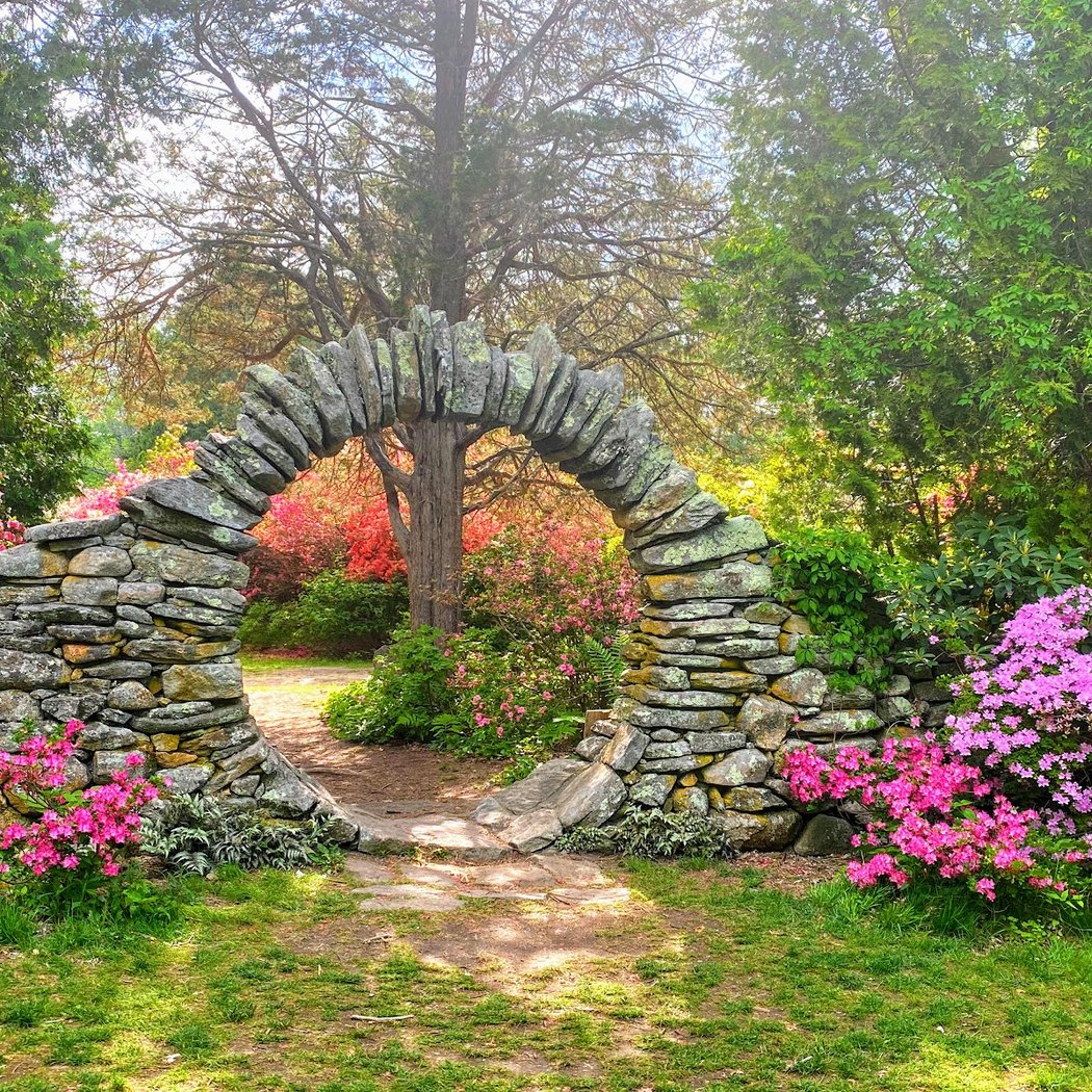 Kinney Azalea Gardens 1