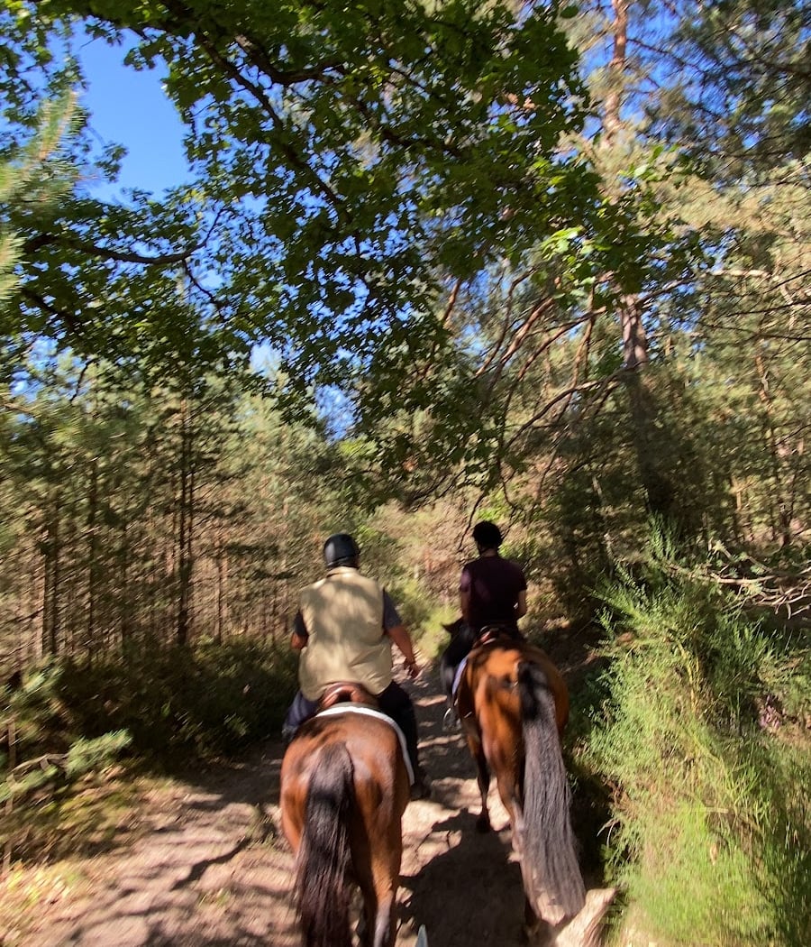 Centre équestre de la forêt de Rambouillet 1