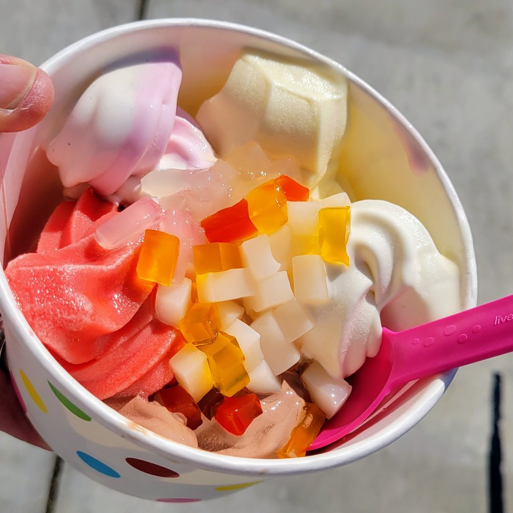 Fruity Froyo Frozen Yogurt 1