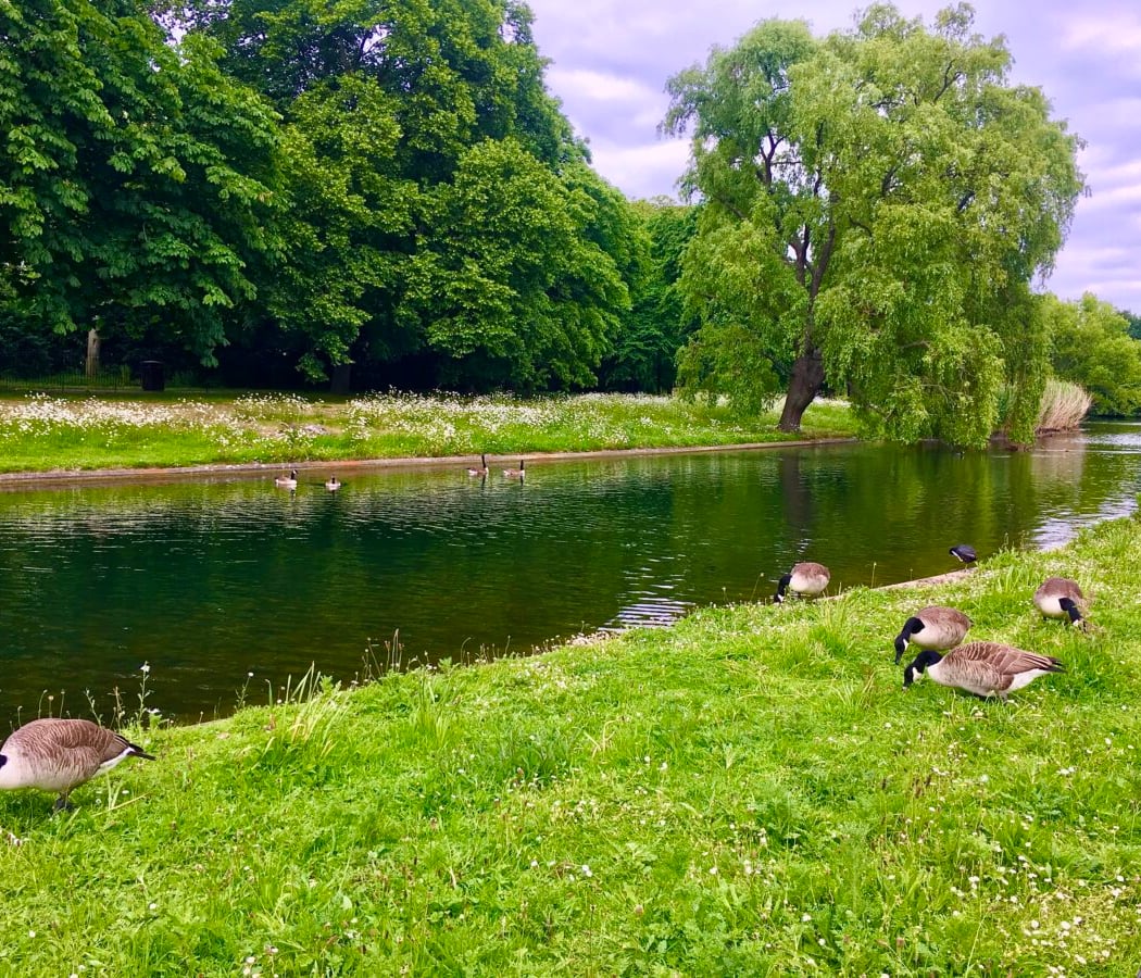 Regent's Park 2