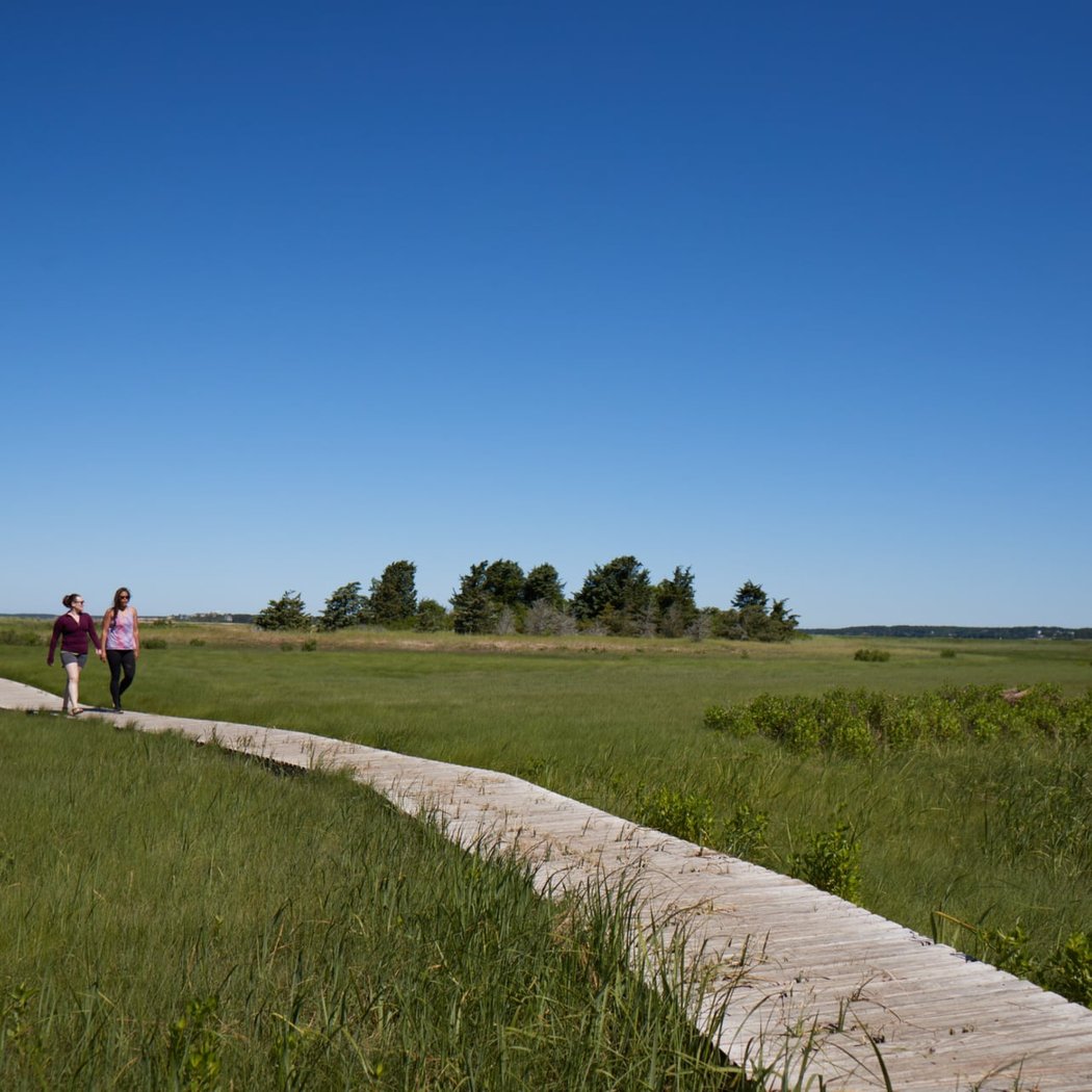 A Nature Year: Coastal Exploration Walk 1