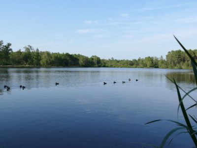 Piscine municipale lac de Montendre 5