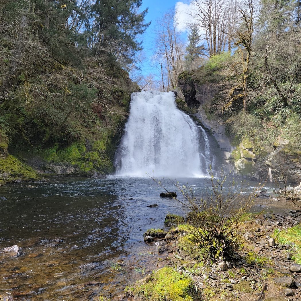 Young's River Falls Park - Astoria Parks & Recreation 1