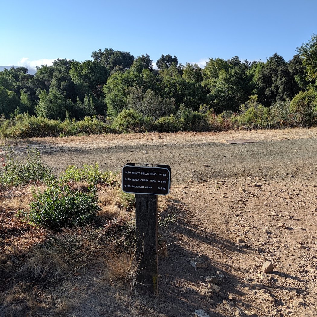Black Mountain Trail 3
