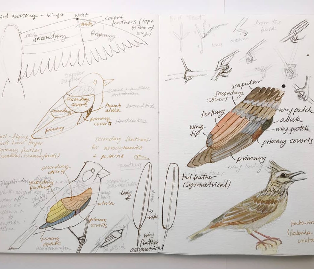 Nature Journaling Meet-Up 3
