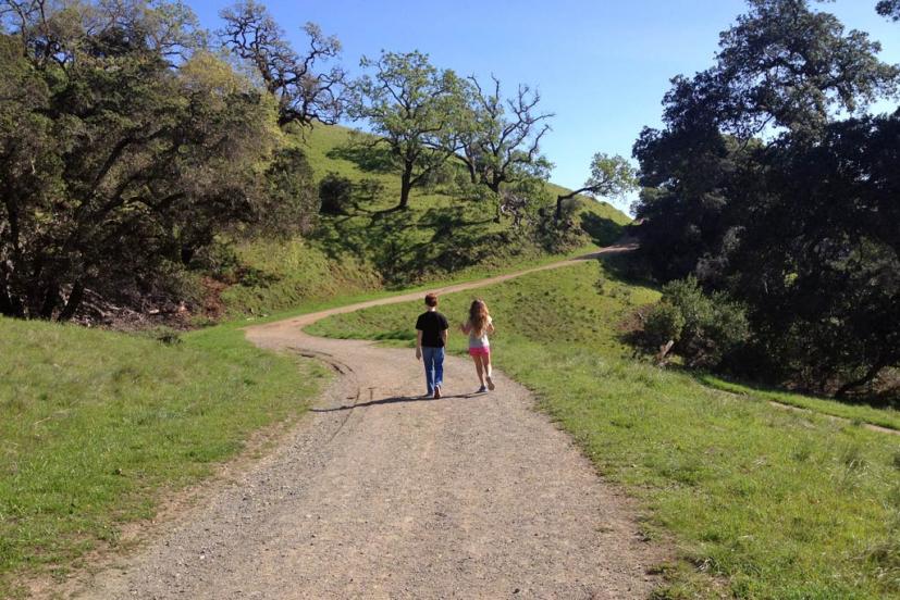 Mt. Burdell Open Space Preserve 2