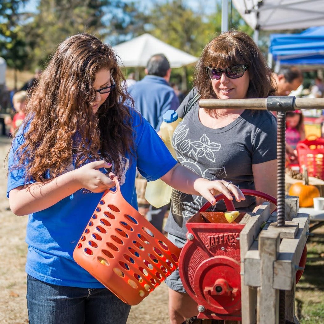 Old Apple Tree Festival 2