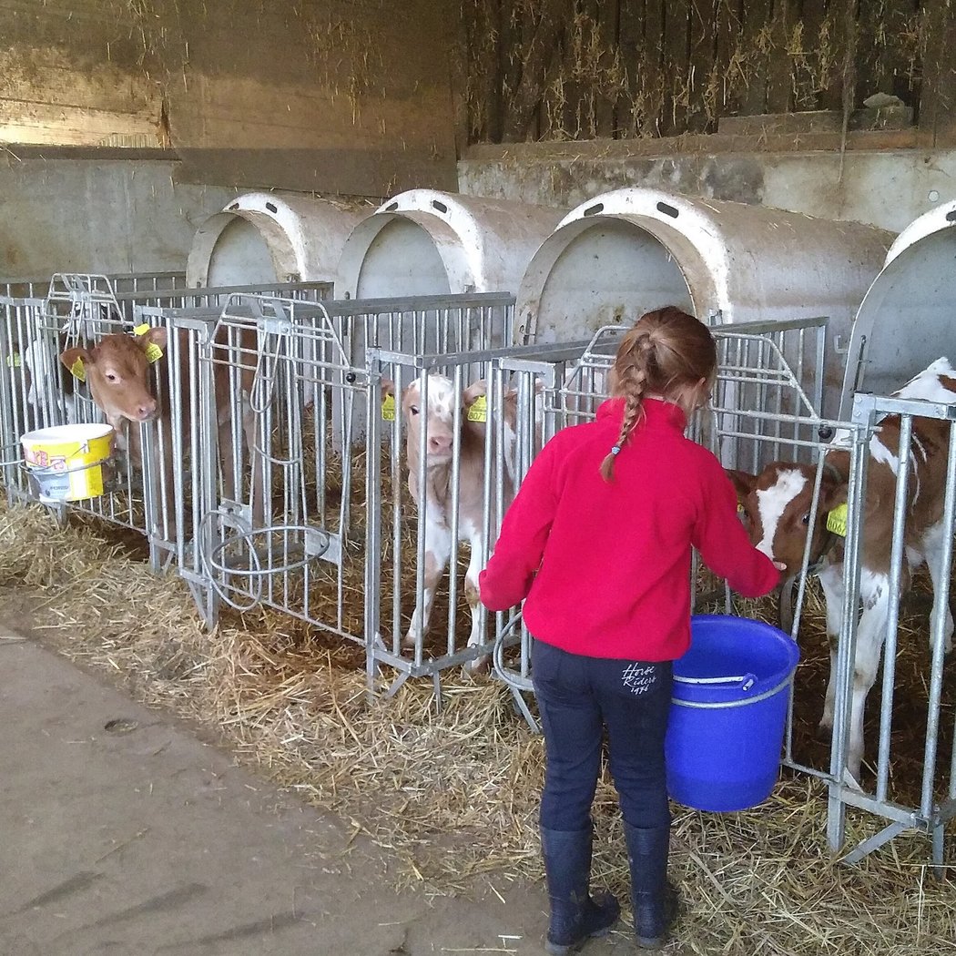 Maryline à la Ferme 1
