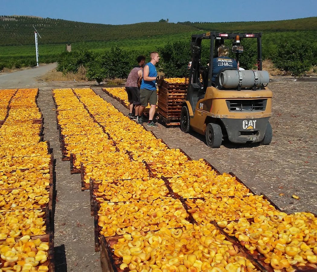 Gleanings Summer Mission Trip 2