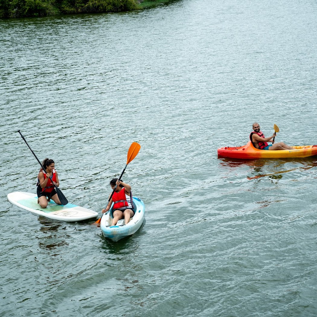 Avathi: Jungle Lodges (Kabini, Bandipur, etc), Farm Stays, Camping and Adventure Activities 2