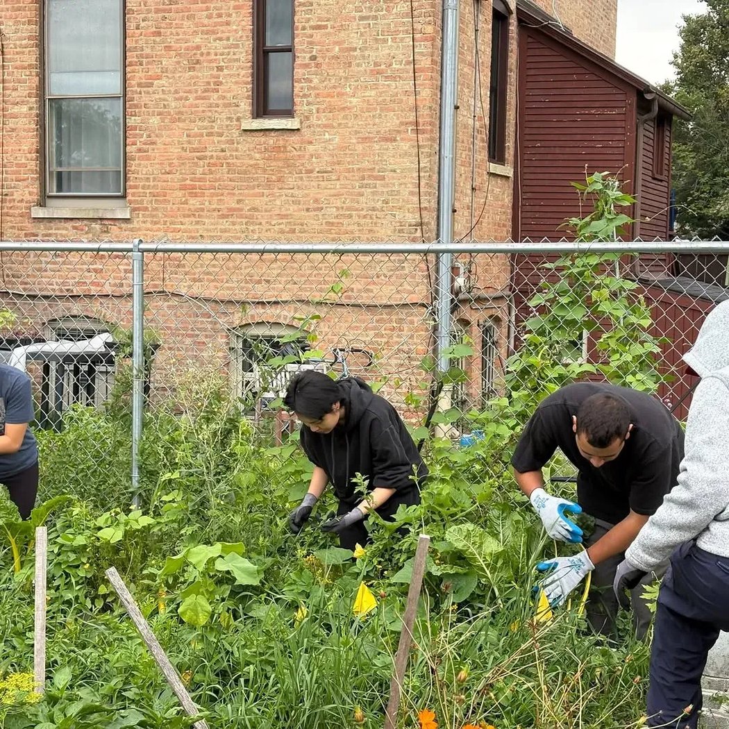 Just Roots Volunteer Workday 2