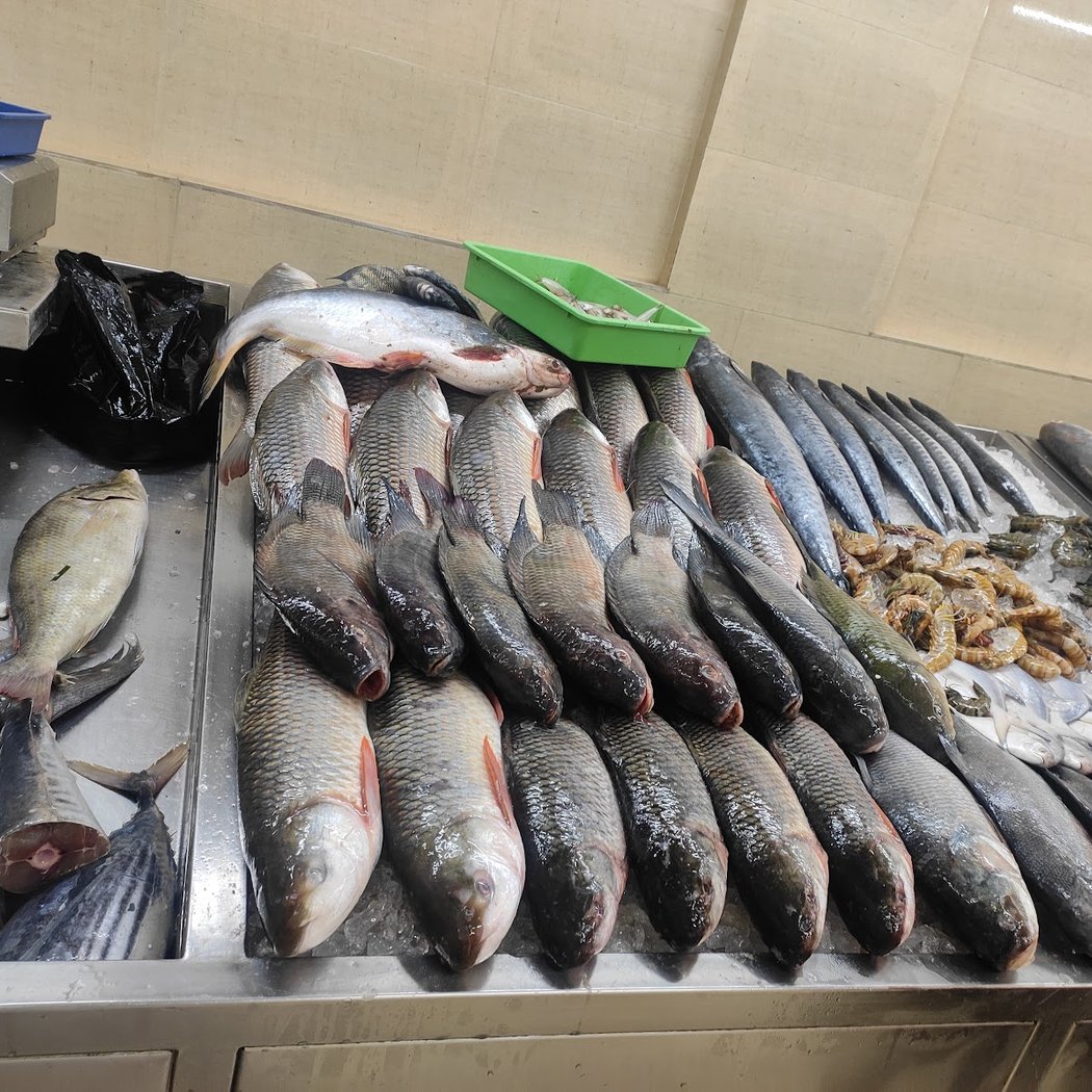 HSR Fresh Fish 2