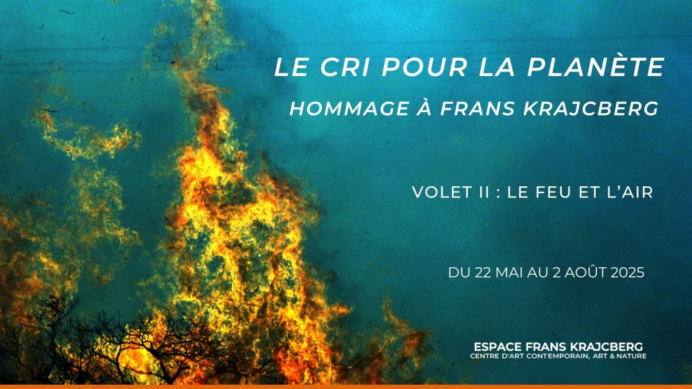 Le cri pour la planète, un hommage à Frans Krajcberg - Volet 2 1
