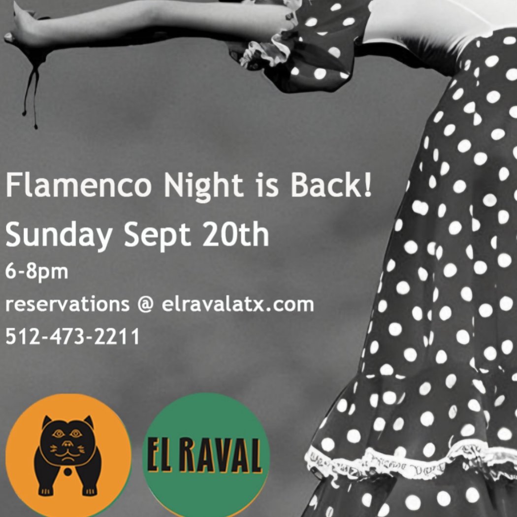 Flamenco Night 1