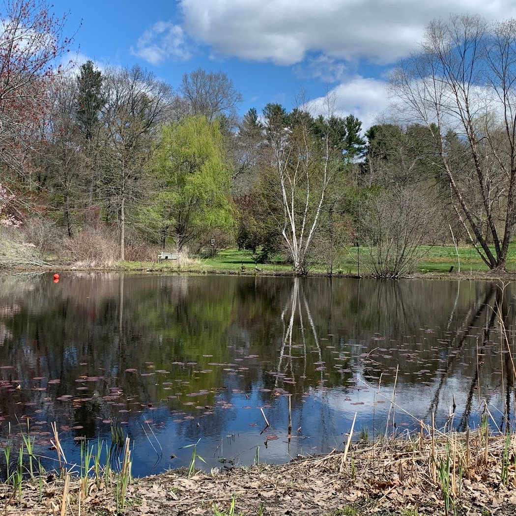 Wellesley College Botanic Gardens 2