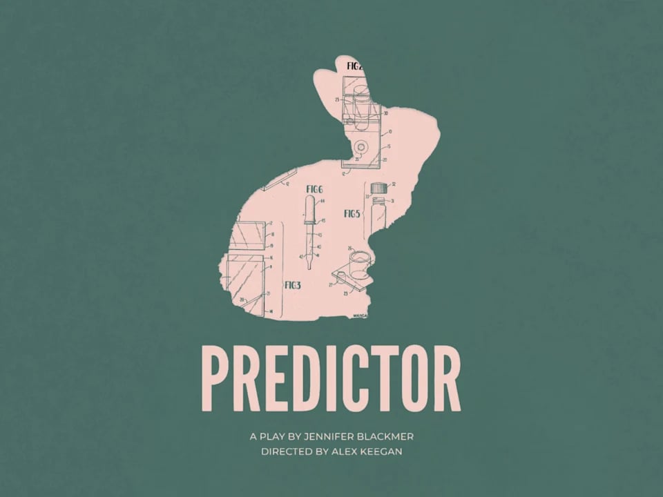 Predictor 1