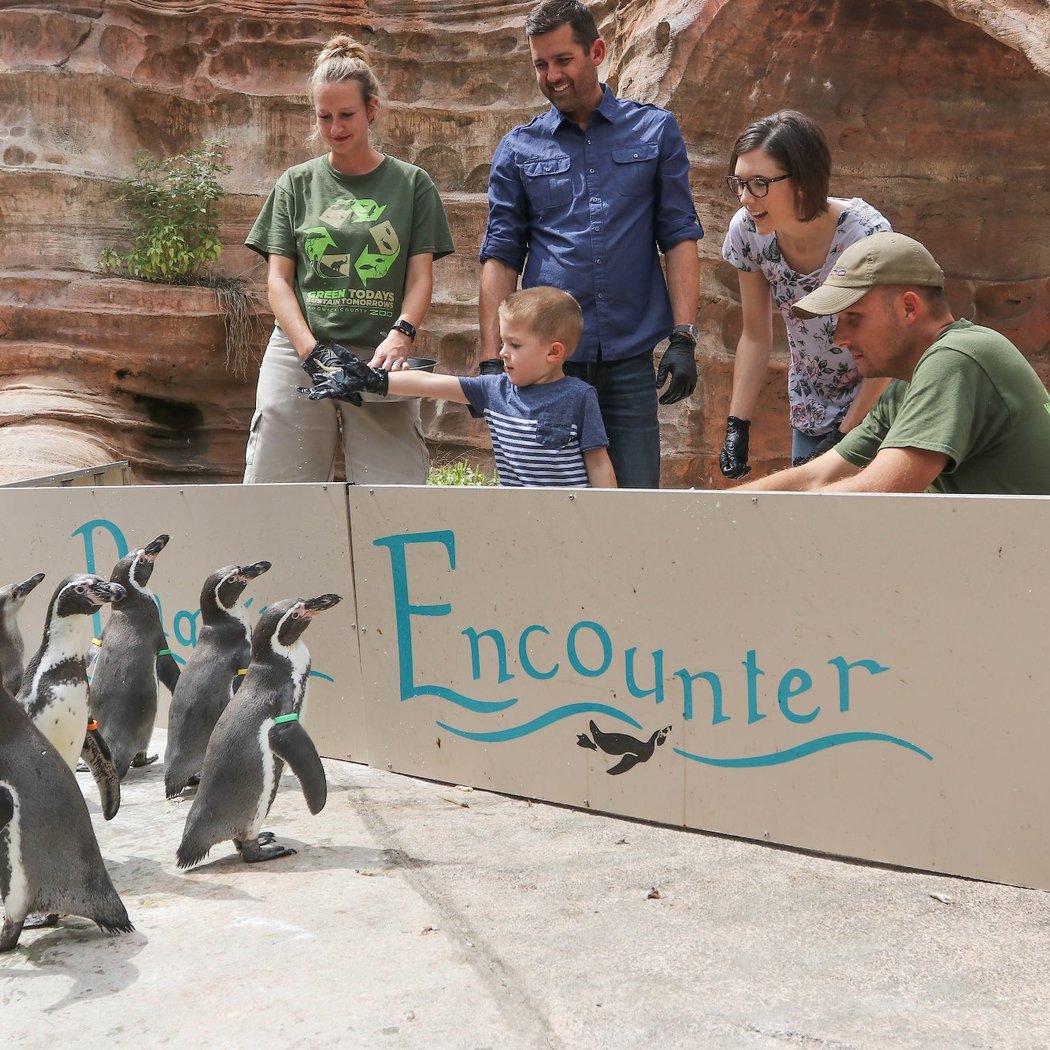 Sedgwick County Zoo 3