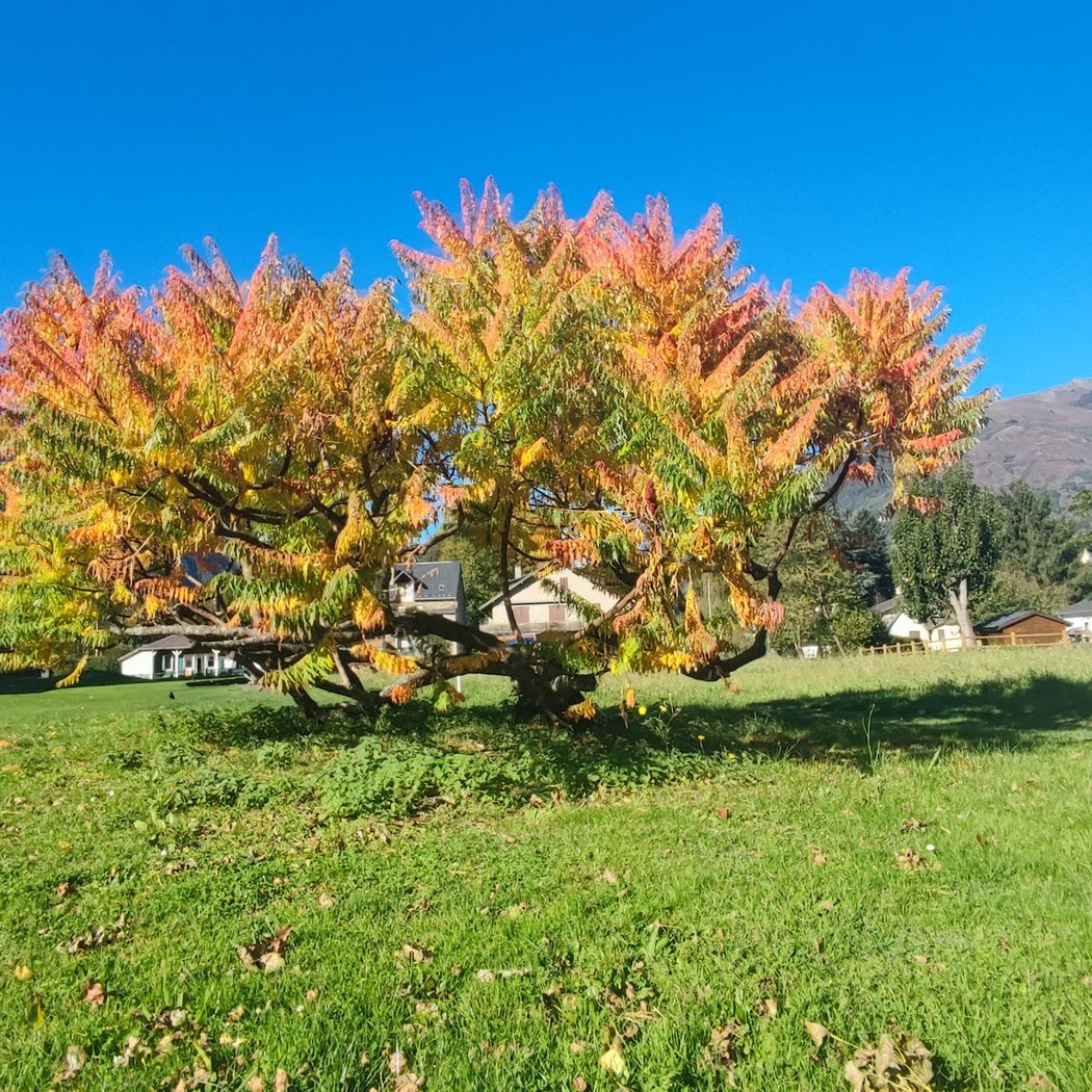 👍🏻 Golf Club de Luchon 3