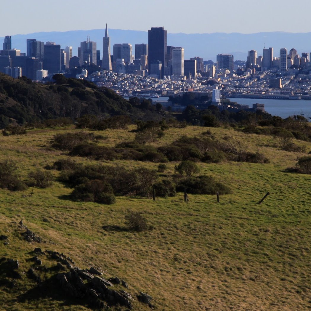 Tiburon Uplands