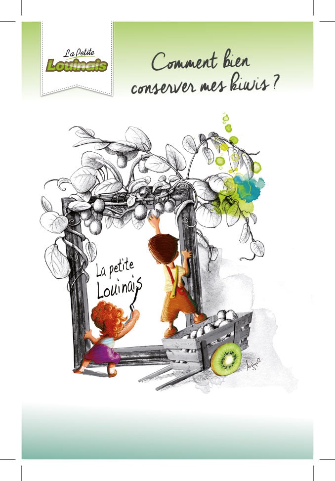 Vente et cueillette de kiwis au verger - en famille 1