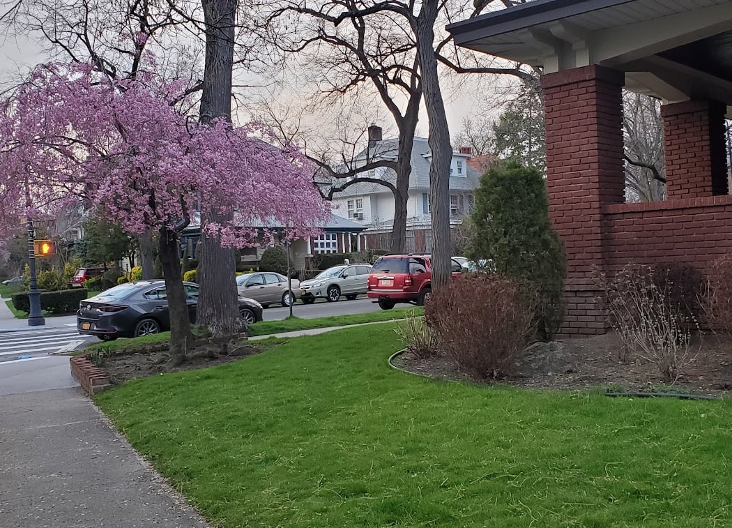 Ditmas Park 1