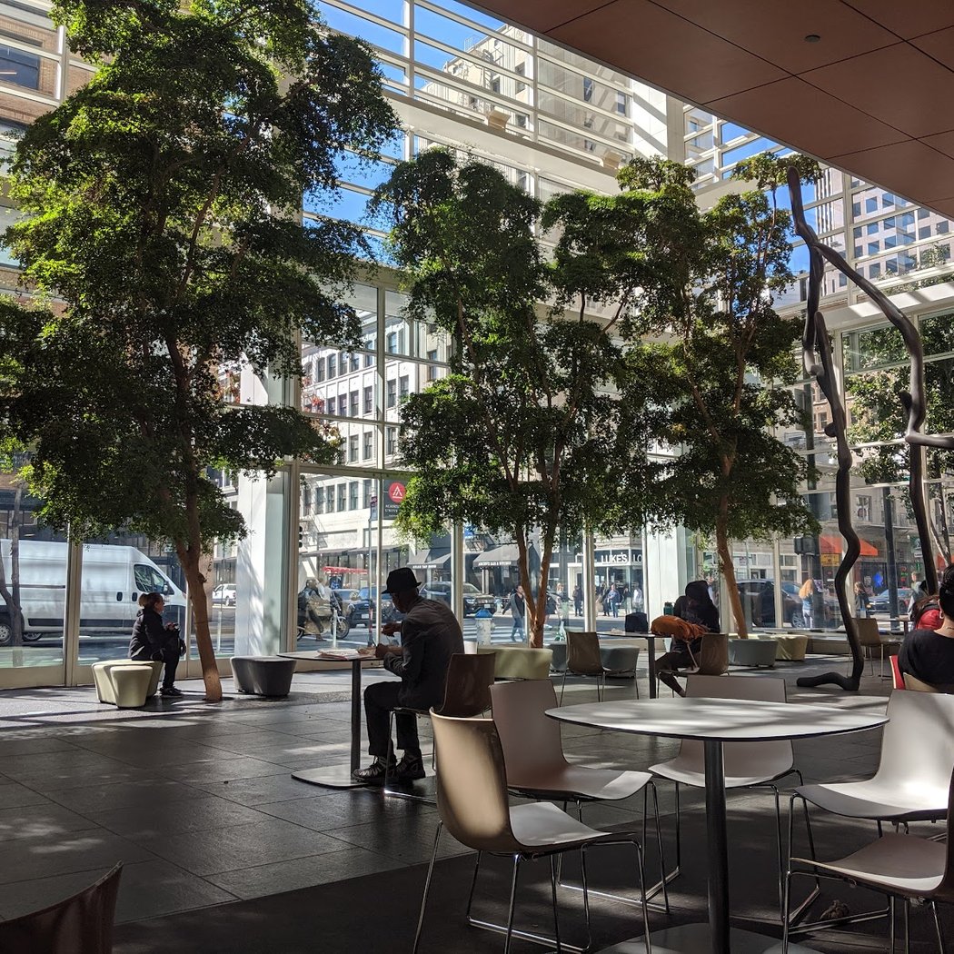 101 2nd St Public Open Space - Indoor Garden 1