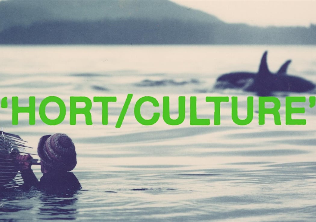 HORT/CULTURE: Jim Nollman + David Rothenberg 1