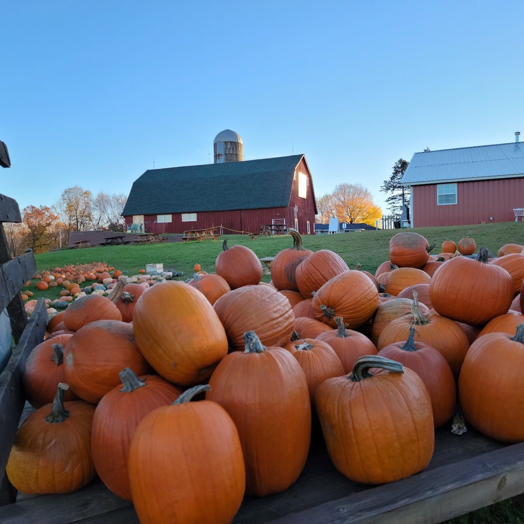 Pleasant Valley Orchard and Cidery 2