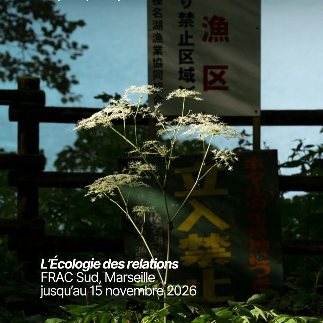 L’Écologie des relations – Angela Detanico et Rafael Lain 1