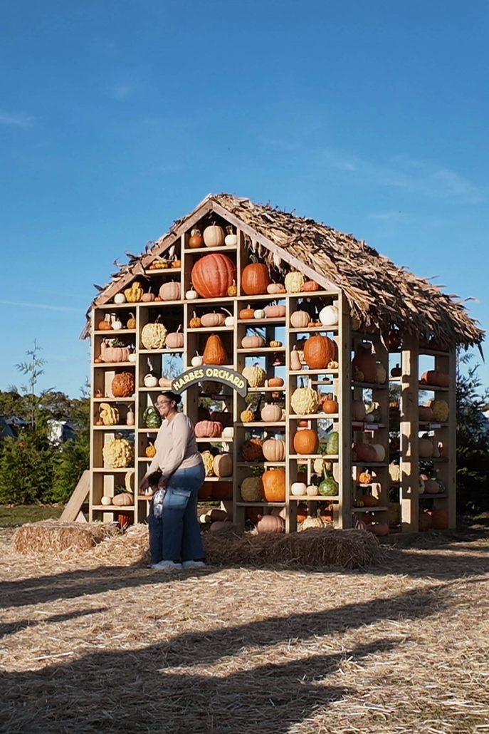 Harbes Orchard 3
