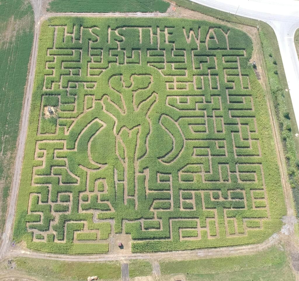 Odyssey Fun Farm: Corn Maze 1