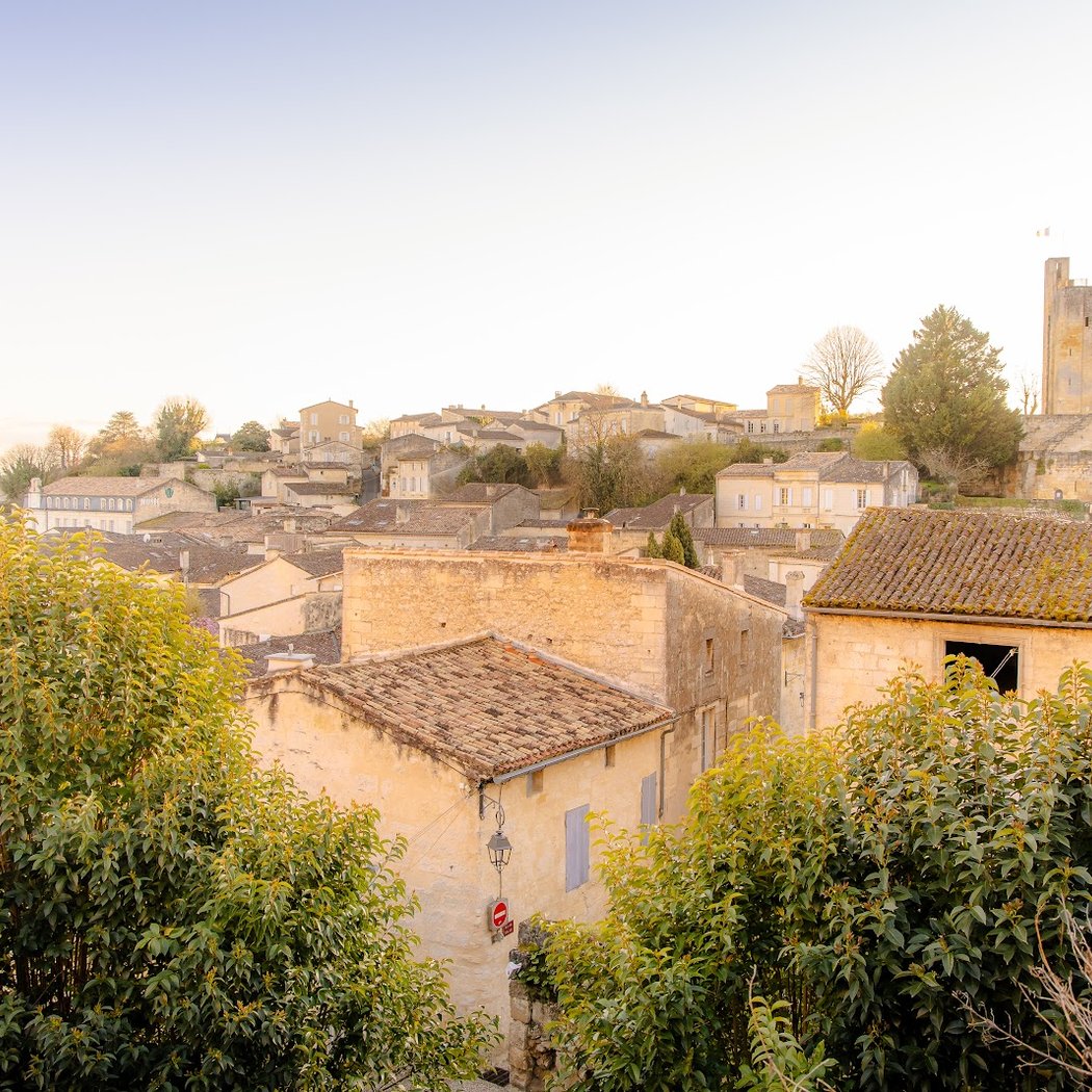 Bordeaux Wine Pilgrim 3