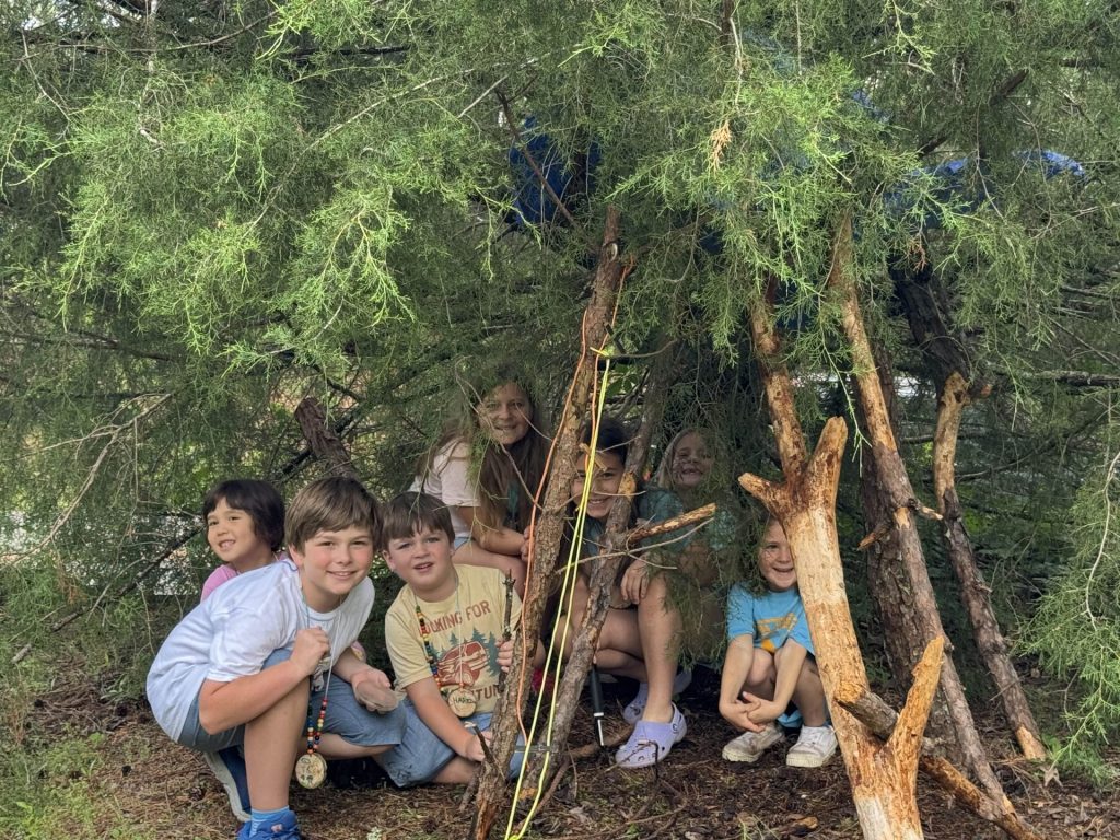 Tree Tots 2