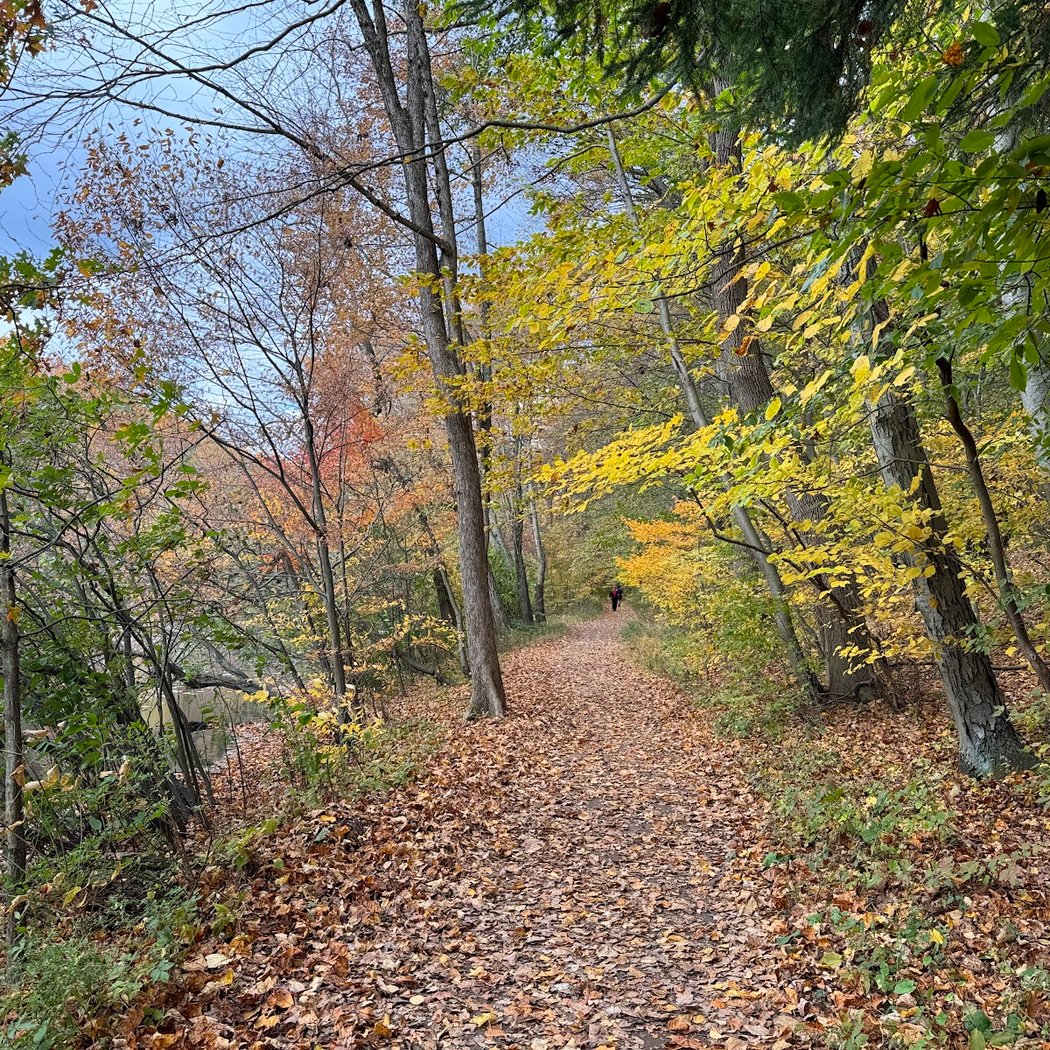 Watchung Reservation 2