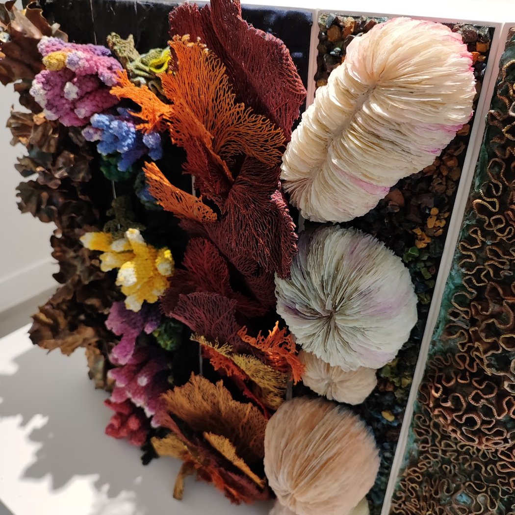 Corail Artefact 1