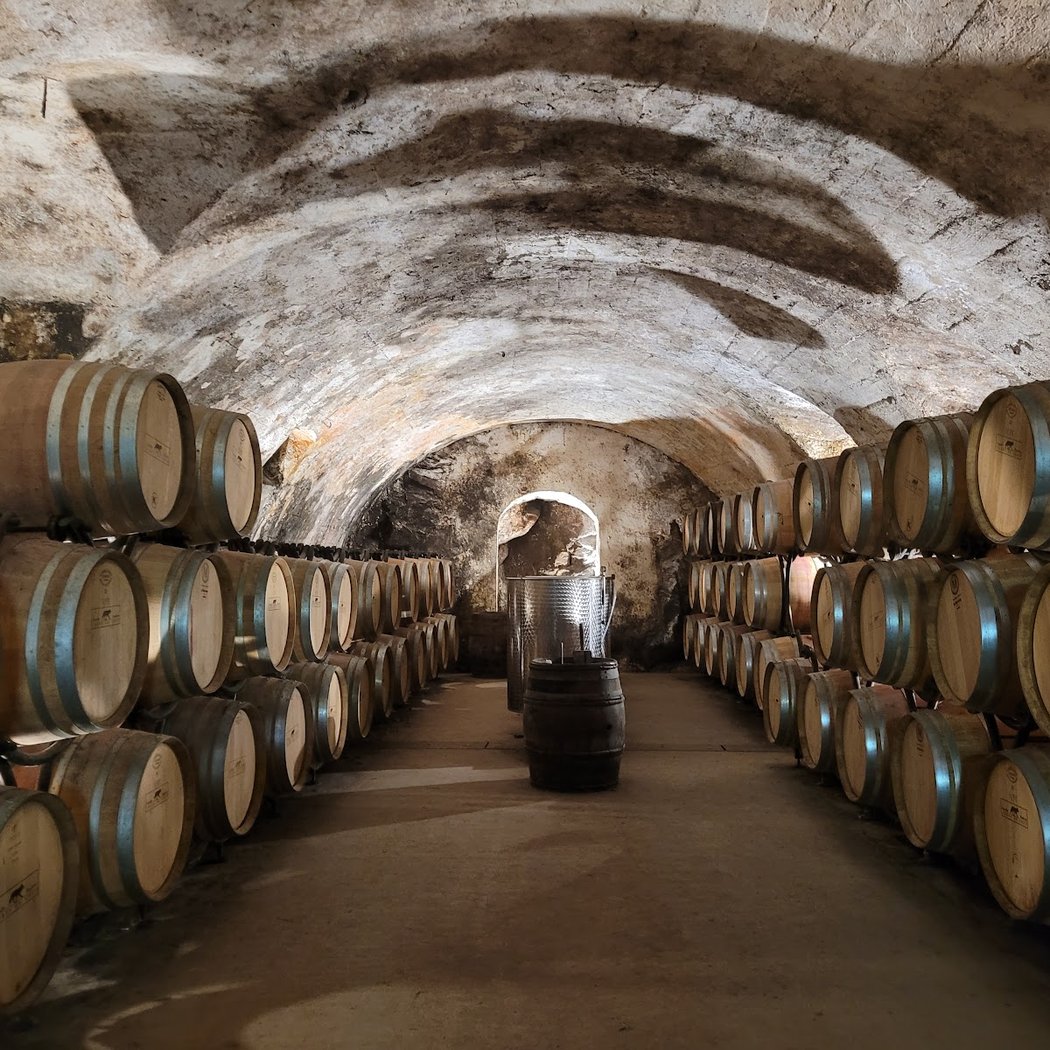 Wine and Ride Condrieu - visite des caves à vélo 3