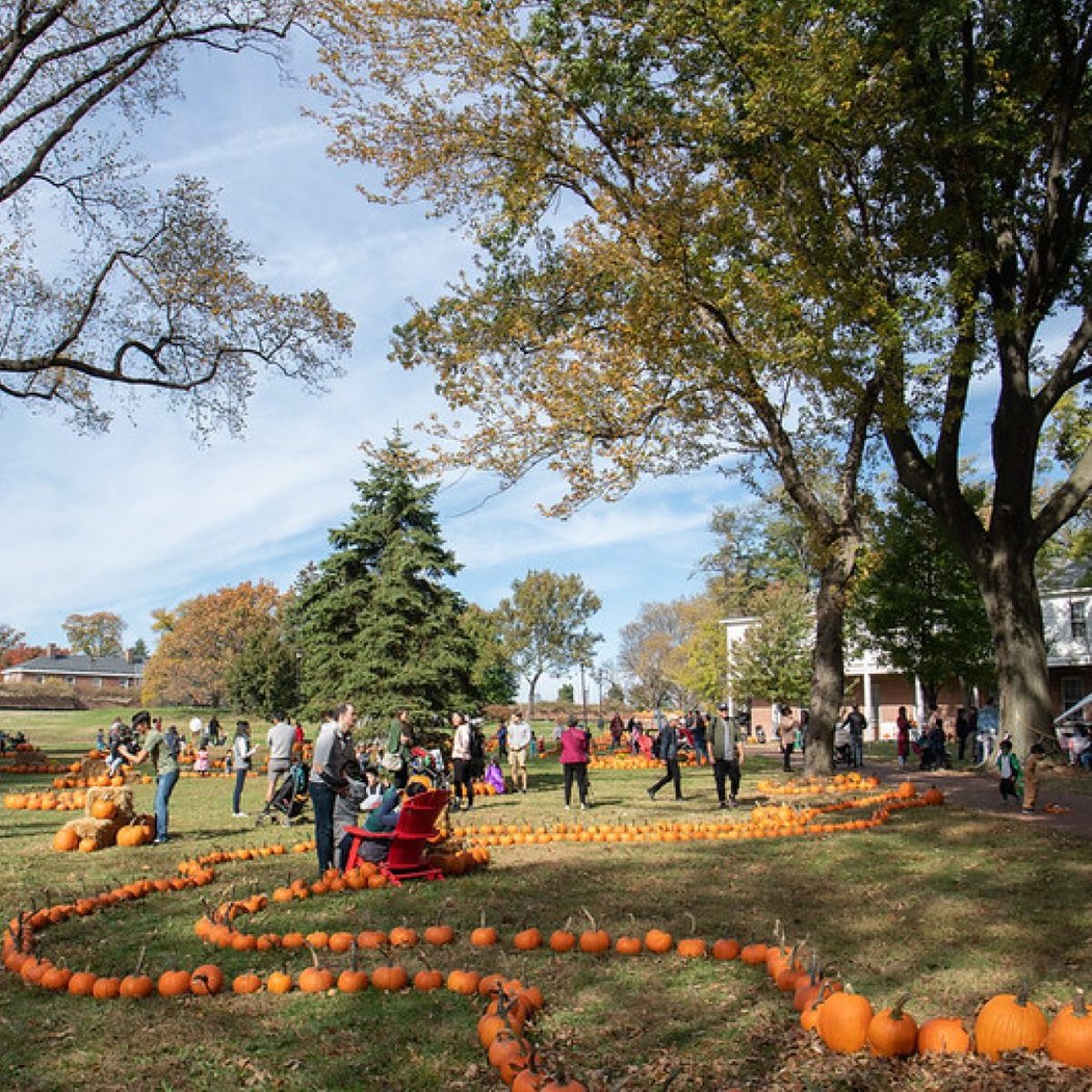 Pumpkin Point 2026 1
